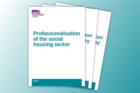 Professionalisation Of The Social Housing Sector Local Government