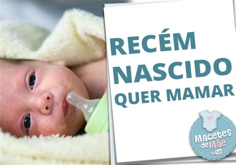 Sinais Recem Nascido Quer Mamar Blog Macetes De M E