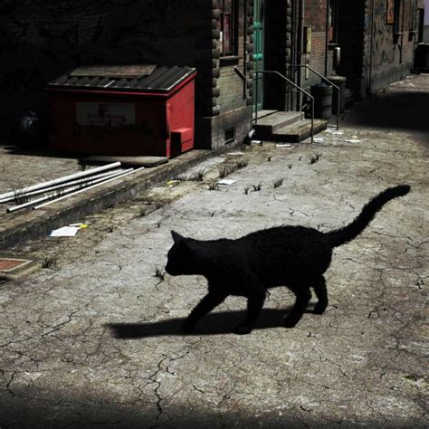 Alley Cat - 3D and 2D Art - ShareCG