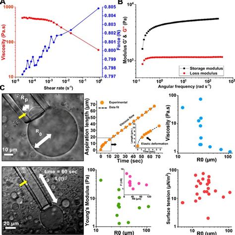 Properties of bulk and individual LLC droplets. (A) Viscosity of 30% ... 