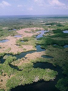 Ten Thousand Islands, Florida