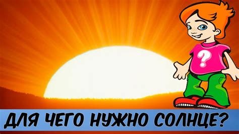 Для чего нужно СОЛНЦЕ?(ПОЧЕМУЧКА) / Видео для детей - YouTube