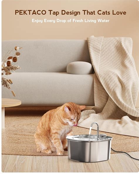 Revue De La Fontaine D Eau Pektaco Pour Chats Chat Chou