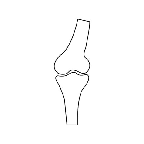 Premium Vector Bone Joints Icon