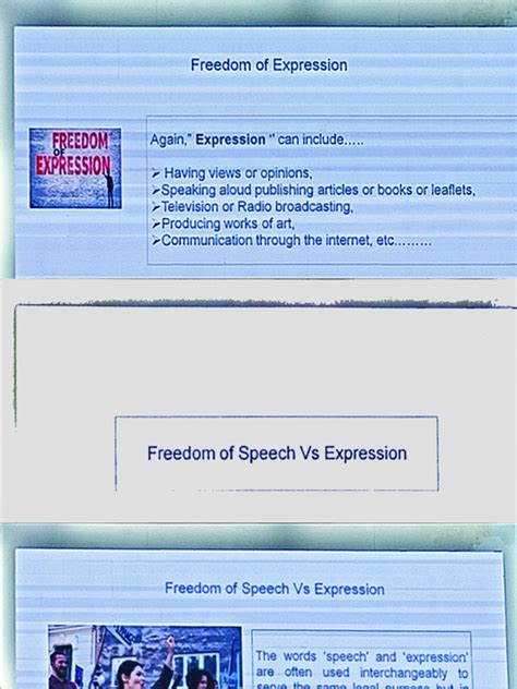 Freedom of Expression | PDF