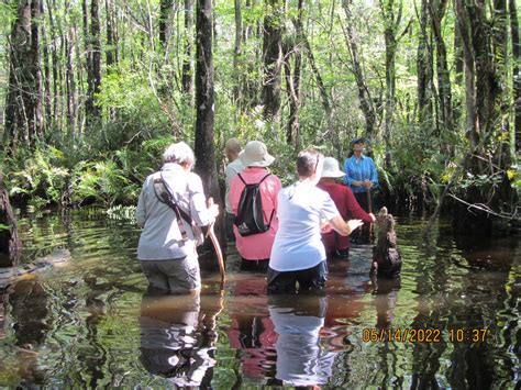"Not So Dry" Walk at Slough 2022 — Slough Preserve
