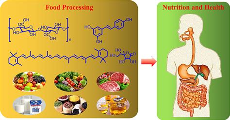 Frontiers Editorial The Effects Of Food Processing On Food