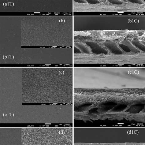 Afm Images Of A Polysulfone Support Membranes Memb Ips Memb Iips