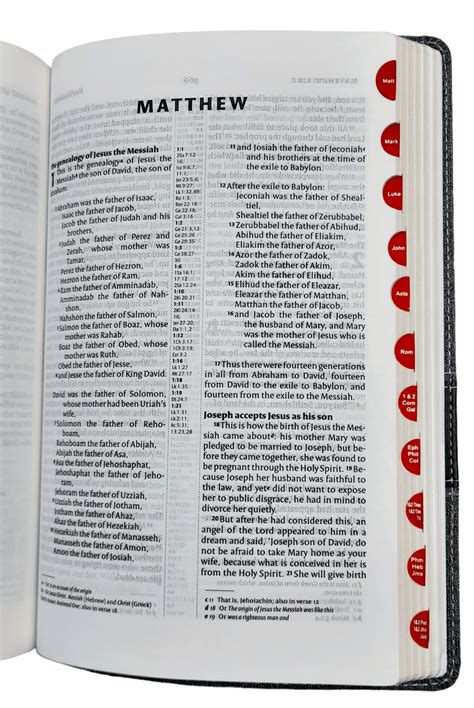 Holy NIV Bible Cross-Reference With Concordance Red Letter ( NIV Bible Burgandy – AMITY