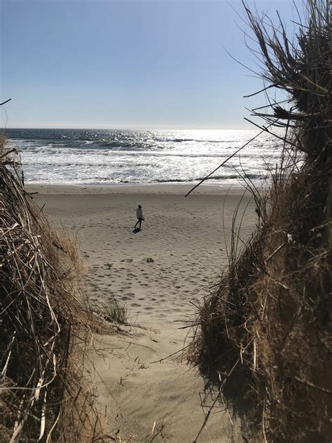 Bodega Dunes Campground — Sonoma Coast State Park | Bodega Bay, CA