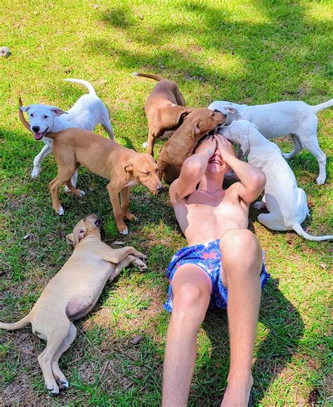 Raintree Jacks Jack... - Raintree Jacks Jack Russell Rescue