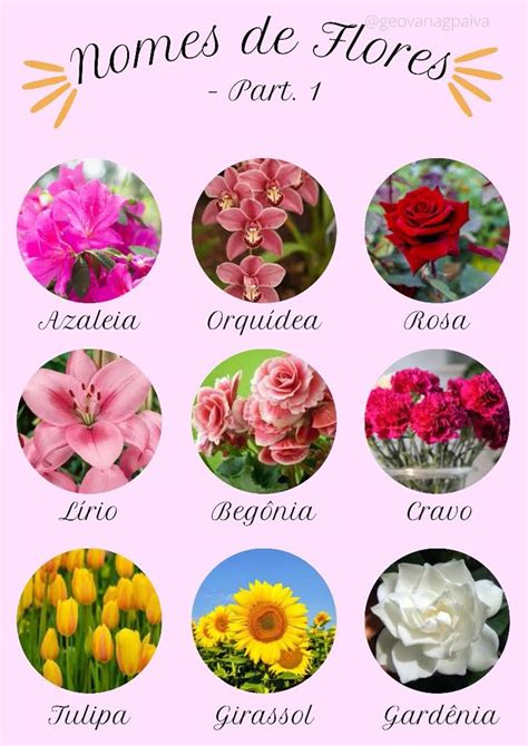 Nomes De Flores De A A Z Com Fotos - Nome de Flores | Flores e seus nomes, Nomes de flores, Significado das ...