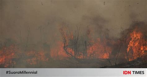 Karhutla Gunung Merbabu Hektar Terbakar Warga Ngungsi