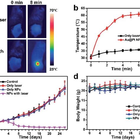 A IR Thermal Images Of 4T1 Tumor Bearing Mice With Or Without Au Pt