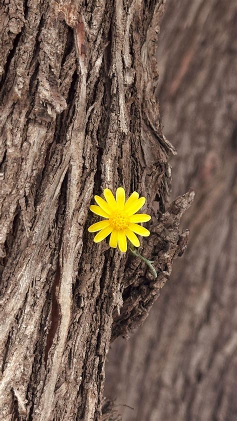 Ramaine ꒰ᐢ. ̫.ᐢ꒱♡ (@sincerely.maine) • Instagram photos and videos