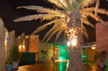 Nightlife-Ocean Club - Punta del Este-Punta del Este-JetSetReport