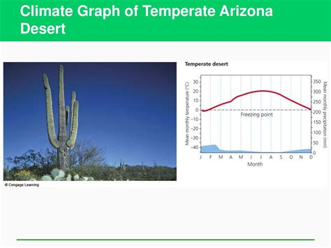 Why A Temperate Desert Temperature Can Drop Below Freezing - RYZE Superfoods
