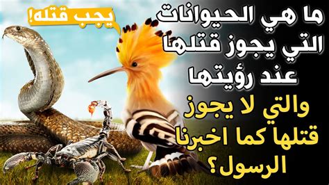 ما هي الحيوانات التي يجوز قتـلـها عند رؤيتها والتي لا يجوز قتـلـها