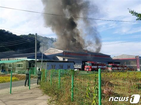 진천 종이상자 공장서 불7000여만원 재산피해 네이트 뉴스