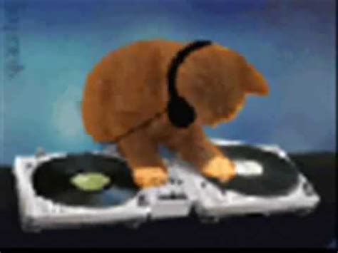 Cat Dance Jerry Tom Dj Katze Dance Katze Sexy Dance Kedilerin Dansi