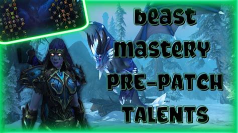 Beast Mastery Hunter 10 0 Dragonflight Guide YouTube