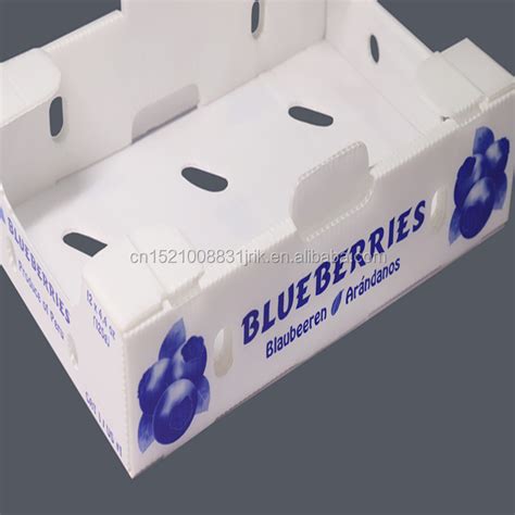 Customized Printing Corrugated Plastic Blueberry Cherry Plastic PP