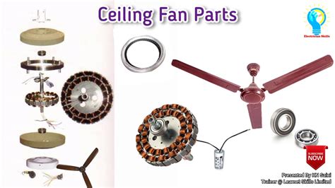 Ceiling Fan Parts Name Shelly Lighting