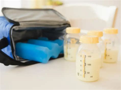 Navigating Breast Milk Travel Restrictions: Tips For Nursing Mothers On ...