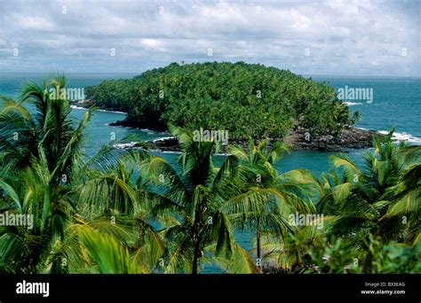 South America French Guyana Devil Island Ile Royale Îles du Salut palm ...