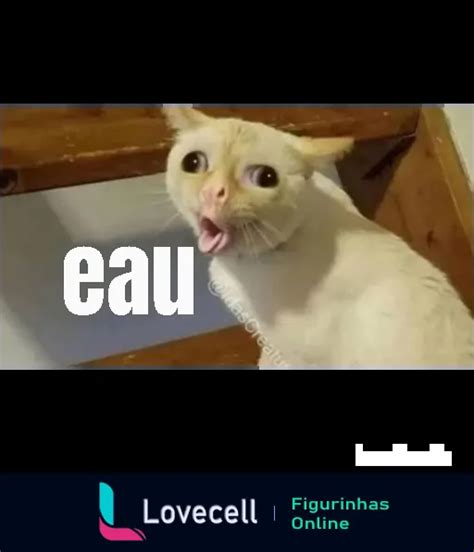 Figurinha Figurinha De Gato Surpreso Texto Eau Para WhatsApp