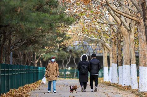 阵风五六级！北京今天最高气温2℃，外出需做好防风防寒措施北京日报网