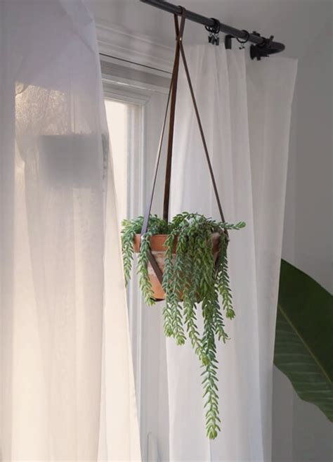 Hanging Plants Ideas Tips Vases And Top Ten Easiest Ways