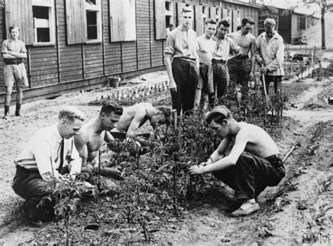 Everyday Life At Stalag Luft Iii Prisoner Of War Camp Sagan Germany