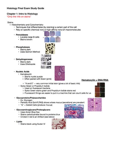 Histology Final Exam Study Guide Chapter 1 Intro To Histology