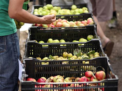 Farmers' markets in Melbourne for fresh local produce