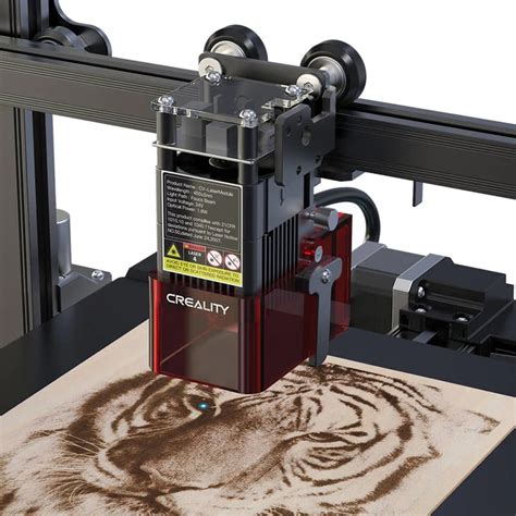 Ender 3 S1 vs S1 Pro vs S1 Plus: Find the Perfect Option for You ...