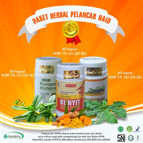 Jual Kapsul Daun Tapak Liman Original Obat Liver Herbal Anti Inflamasi