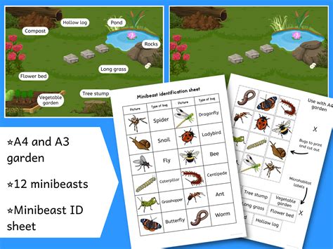 Minibeasts Garden Microhabitats Sorting Activity KS1 Science Teaching