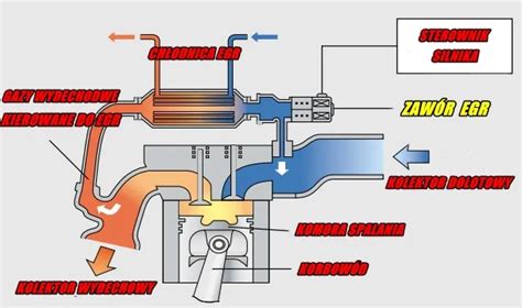 Zawór EGR co to jest i jak wpływa na sprawność Twojego silnika