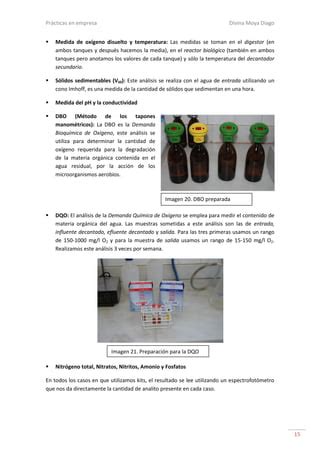 Prácticas en empresa PDF