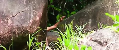 Josefine Preuss Nude Porn Videos Sex Tapes XHamster