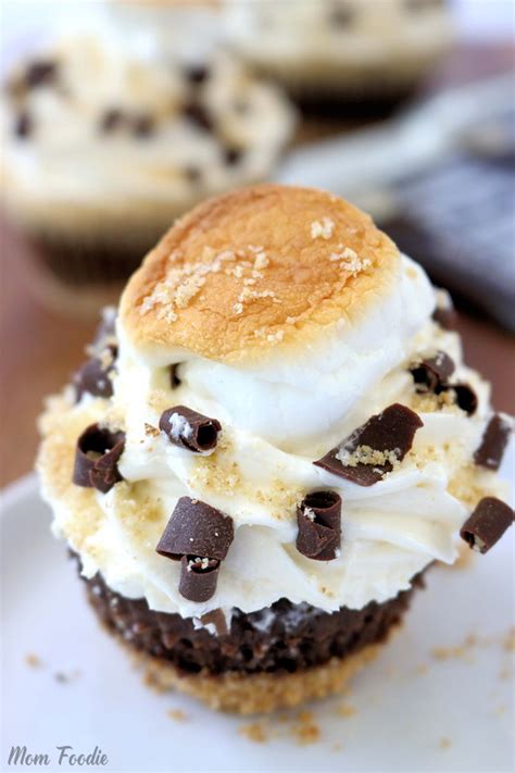 Smores Cupcakes The Perfect Summer Cupcake Recipe