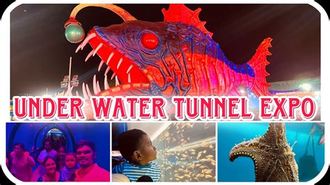 Under Water Tunnel Aquarium Expo 2023 Hyderabad UnderWater Tunnel In