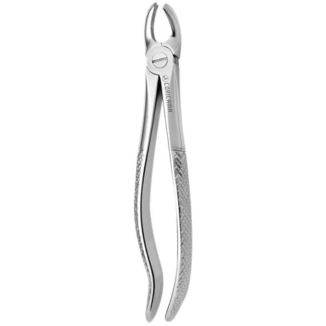 Tooth Forceps Coricama Since 1873