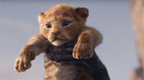 Il Re Leone Donald Glover Vestito Da Felino Presenta Il Video Di