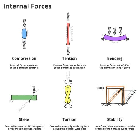 Internal Forces Cíaran Malik