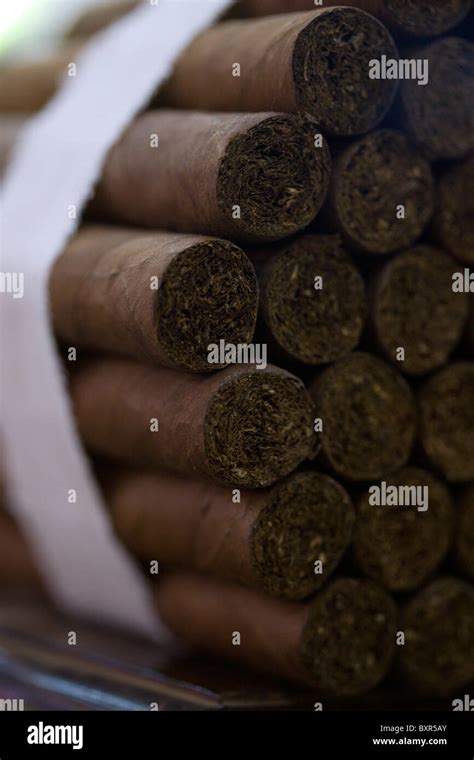 Stack Of Hand Rolled Cigars Hi Res Stock Photography And Images Alamy