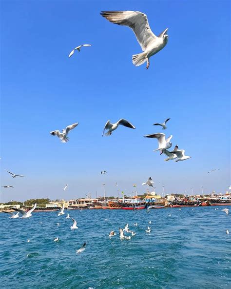 Beyt Dwarka Explore Dwarka Gujarat