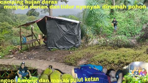 Camping Hujan Deras Menjaga Durian Dan Nginap Di Rumah Pohon Ngopi Dan