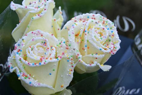 Birthday Cake Roses